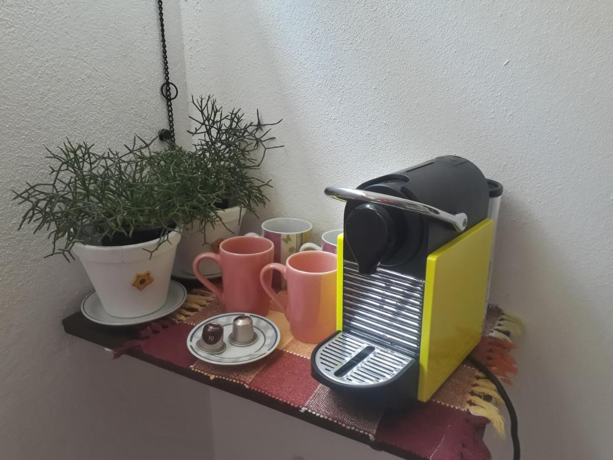 Chales Grindelwald Monte Verde  Zewnętrze zdjęcie